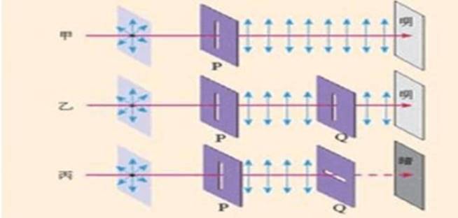 clip_image006.jpg clip_image006.jpg